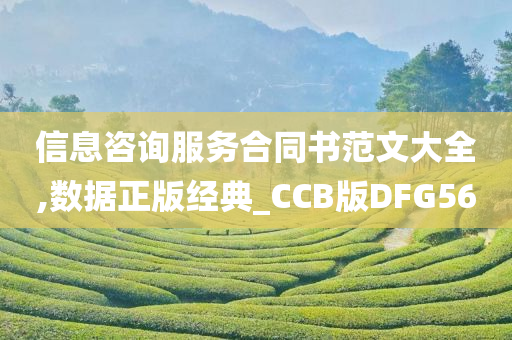 信息咨询服务合同书范文大全,数据正版经典_CCB版DFG56