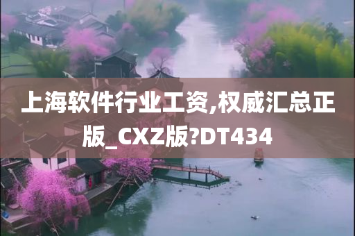 上海软件行业工资,权威汇总正版_CXZ版?DT434