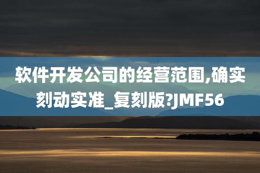 软件开发公司的经营范围,确实刻动实准_复刻版?JMF56