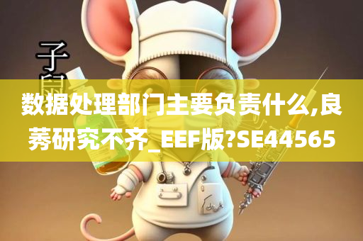 数据处理部门主要负责什么,良莠研究不齐_EEF版?SE44565