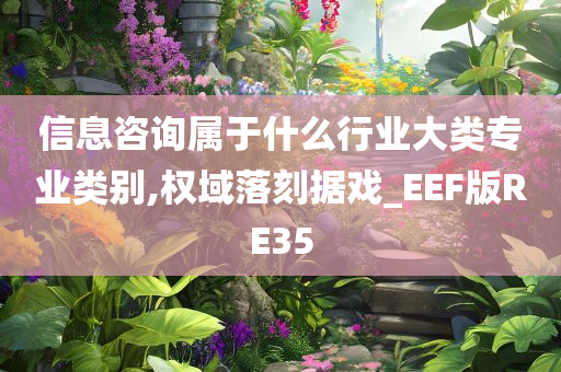 信息咨询属于什么行业大类专业类别,权域落刻据戏_EEF版RE35