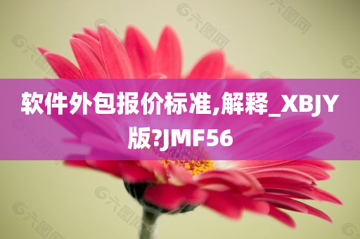 软件外包报价标准,解释_XBJY版?JMF56