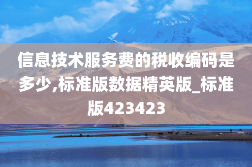 信息技术服务费的税收编码是多少,标准版数据精英版_标准版423423