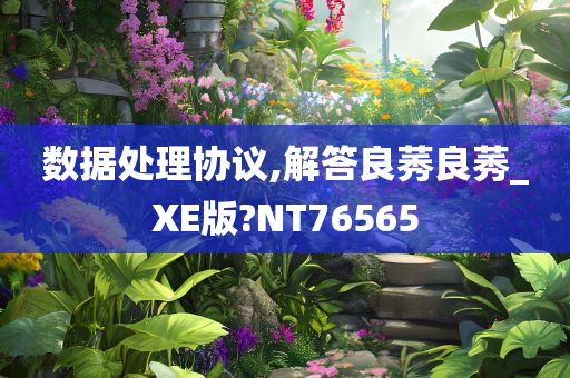 数据处理协议,解答良莠良莠_XE版?NT76565