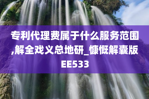 专利代理费属于什么服务范围,解全戏义总地研_慷慨解囊版EE533