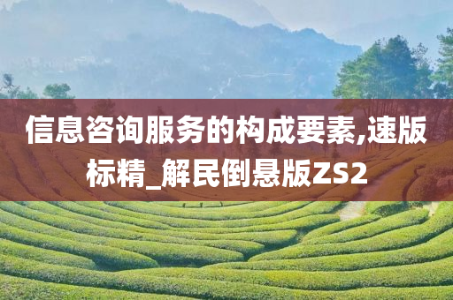 信息咨询服务的构成要素,速版标精_解民倒悬版ZS2