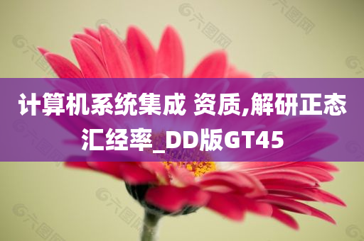 计算机系统集成 资质,解研正态汇经率_DD版GT45