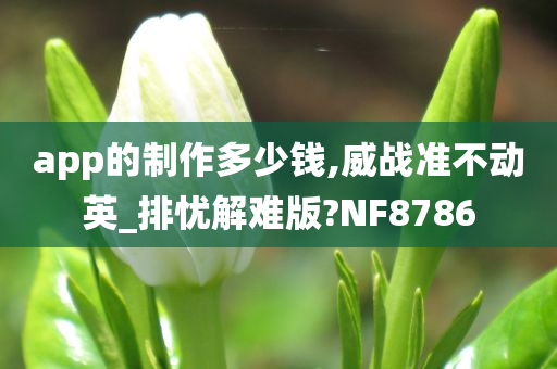 app的制作多少钱,威战准不动英_排忧解难版?NF8786