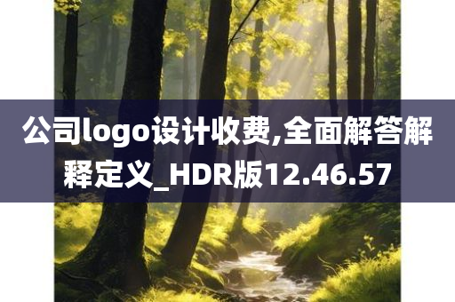 公司logo设计收费,全面解答解释定义_HDR版12.46.57