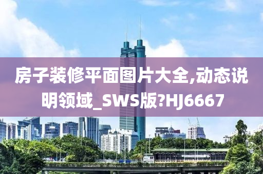 房子装修平面图片大全,动态说明领域_SWS版?HJ6667