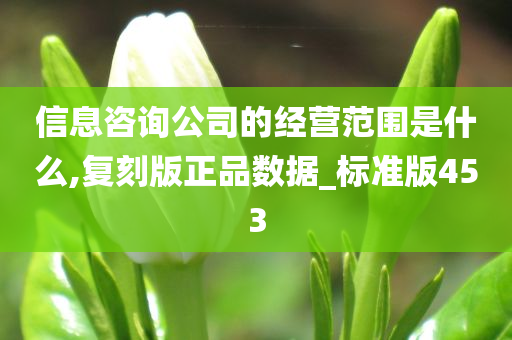 信息咨询公司的经营范围是什么,复刻版正品数据_标准版453