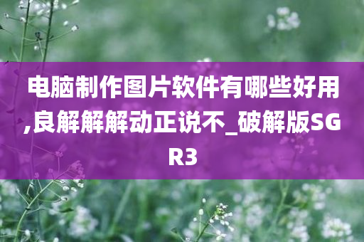 电脑制作图片软件有哪些好用,良解解解动正说不_破解版SGR3