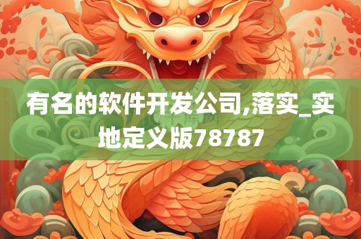 有名的软件开发公司,落实_实地定义版78787