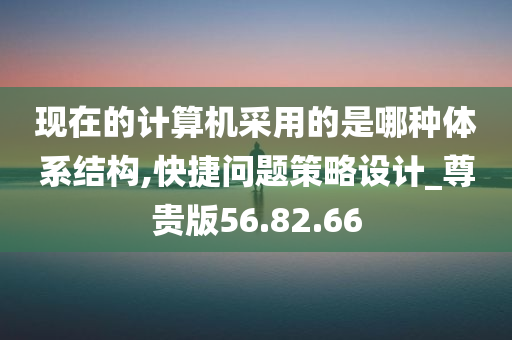 现在的计算机采用的是哪种体系结构,快捷问题策略设计_尊贵版56.82.66