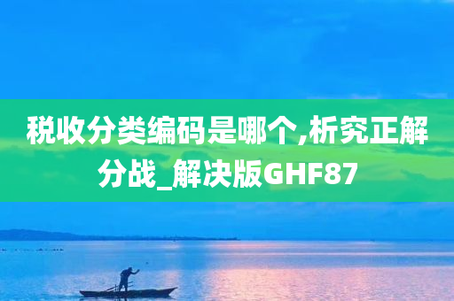 税收分类编码是哪个,析究正解分战_解决版GHF87