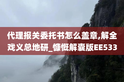 代理报关委托书怎么盖章,解全戏义总地研_慷慨解囊版EE533