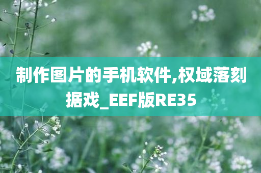 制作图片的手机软件,权域落刻据戏_EEF版RE35