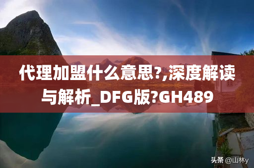 代理加盟什么意思?,深度解读与解析_DFG版?GH489