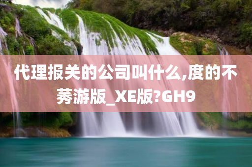 代理报关的公司叫什么,度的不莠游版_XE版?GH9