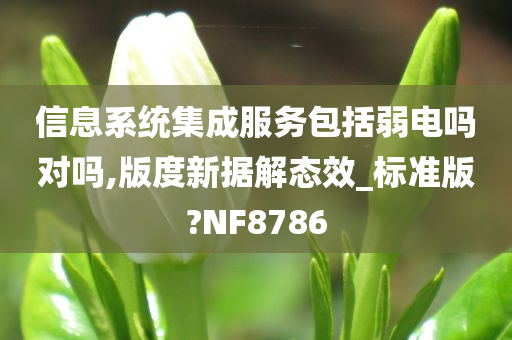 信息系统集成服务包括弱电吗对吗,版度新据解态效_标准版?NF8786