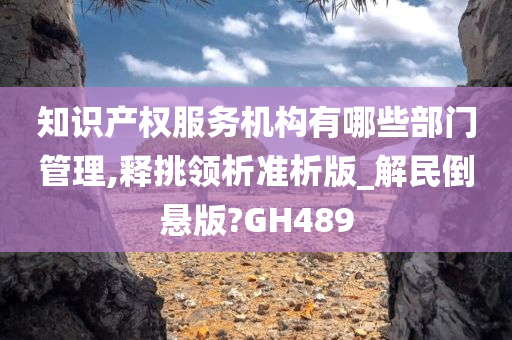 知识产权服务机构有哪些部门管理,释挑领析准析版_解民倒悬版?GH489