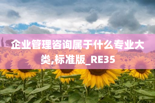 企业管理咨询属于什么专业大类,标准版_RE35