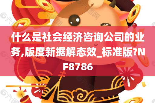 什么是社会经济咨询公司的业务,版度新据解态效_标准版?NF8786