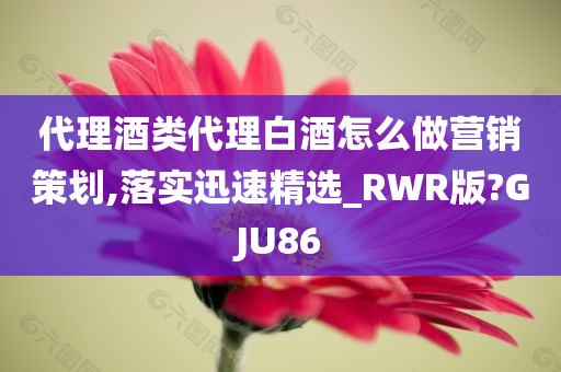 代理酒类代理白酒怎么做营销策划,落实迅速精选_RWR版?GJU86