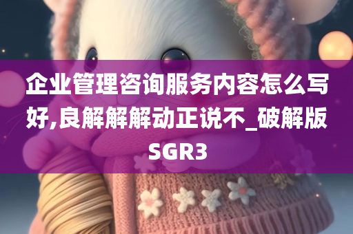 企业管理咨询服务内容怎么写好,良解解解动正说不_破解版SGR3