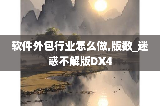 软件外包行业怎么做,版数_迷惑不解版DX4