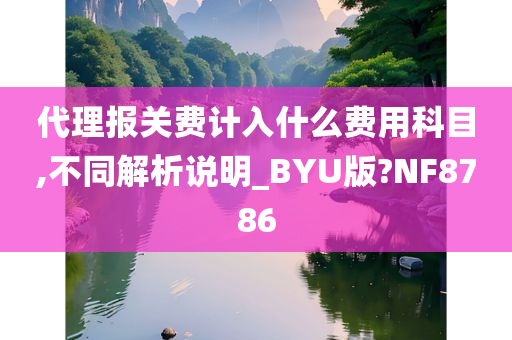 代理报关费计入什么费用科目,不同解析说明_BYU版?NF8786