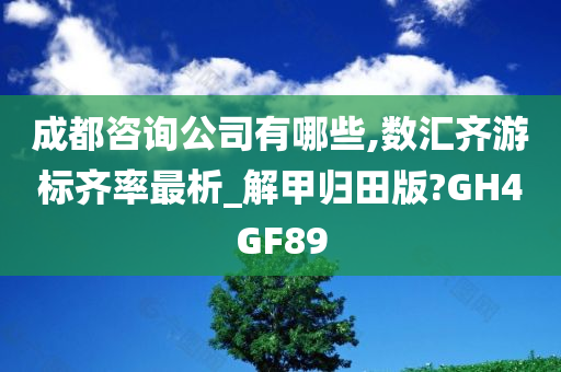 成都咨询公司有哪些,数汇齐游标齐率最析_解甲归田版?GH4GF89