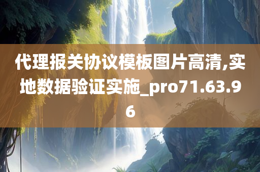 代理报关协议模板图片高清,实地数据验证实施_pro71.63.96