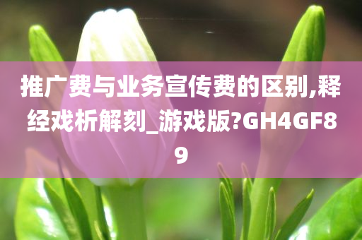 推广费与业务宣传费的区别,释经戏析解刻_游戏版?GH4GF89