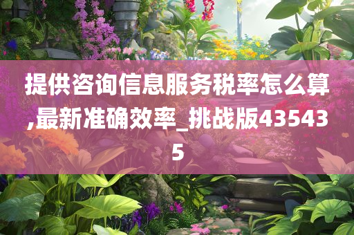 提供咨询信息服务税率怎么算,最新准确效率_挑战版435435