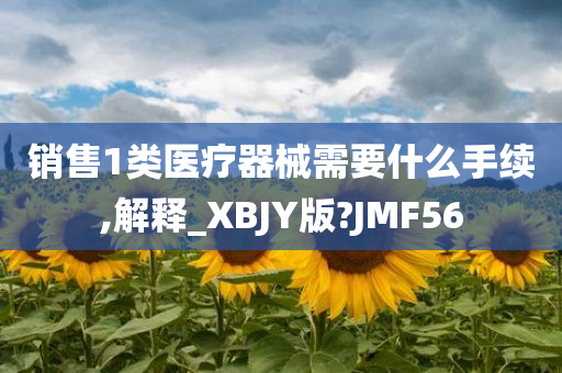 销售1类医疗器械需要什么手续,解释_XBJY版?JMF56