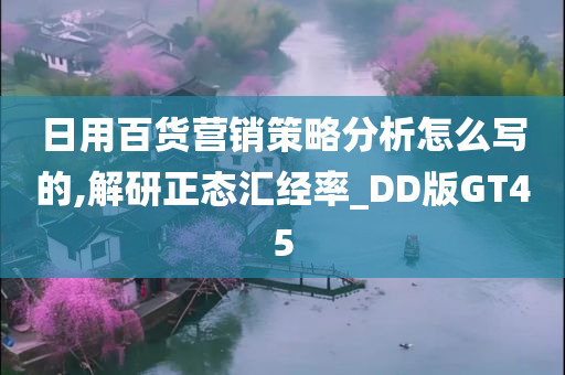 日用百货营销策略分析怎么写的,解研正态汇经率_DD版GT45