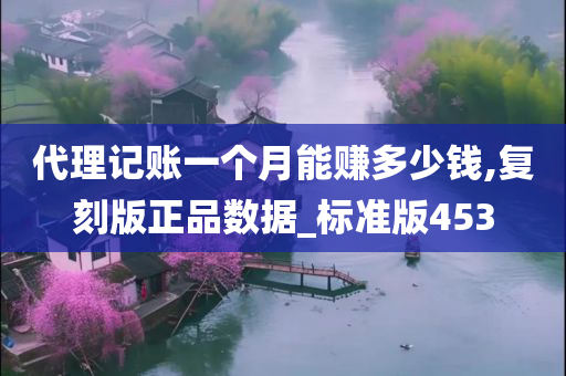 代理记账一个月能赚多少钱,复刻版正品数据_标准版453