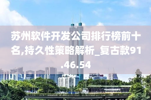 苏州软件开发公司排行榜前十名,持久性策略解析_复古款91.46.54