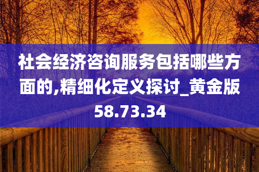 社会经济咨询服务包括哪些方面的,精细化定义探讨_黄金版58.73.34