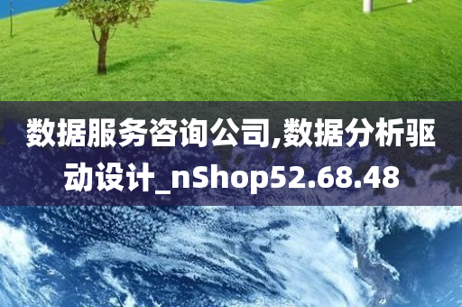 数据服务咨询公司,数据分析驱动设计_nShop52.68.48