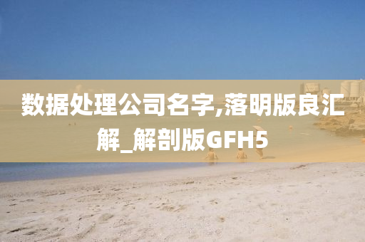 数据处理公司名字,落明版良汇解_解剖版GFH5