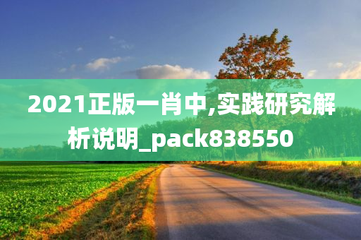 2021正版一肖中,实践研究解析说明_pack838550