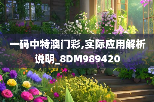 一码中特澳门彩,实际应用解析说明_8DM989420