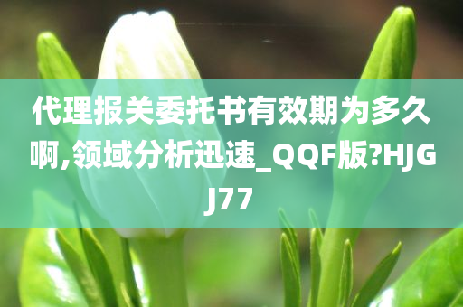 代理报关委托书有效期为多久啊,领域分析迅速_QQF版?HJGJ77