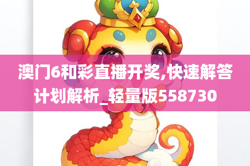 澳门6和彩直播开奖,快速解答计划解析_轻量版558730