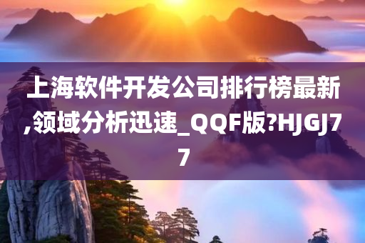 上海软件开发公司排行榜最新,领域分析迅速_QQF版?HJGJ77