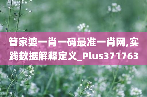 管家婆一肖一码最准一肖网,实践数据解释定义_Plus371763