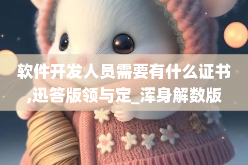 软件开发人员需要有什么证书,迅答版领与定_浑身解数版