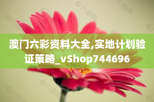 澳门六彩资料大全,实地计划验证策略_vShop744696